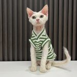 V Neck Tank Tops for Cats