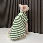 V Neck Tank Tops for Cats