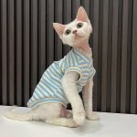 V Neck Tank Tops for Cats