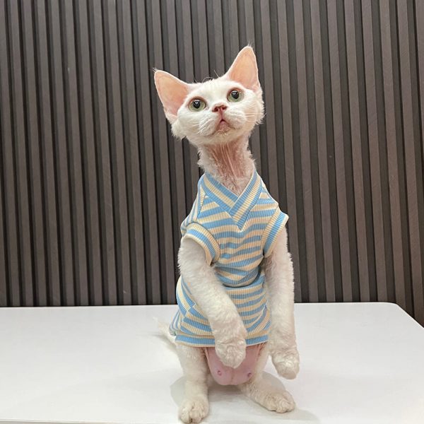 V Neck Tank Tops for Cats