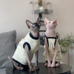 Waffle Shirt for Cat Breathable Miffy Shirt Tank Top for Cats