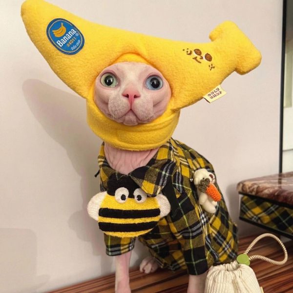 Cappello di peluche a banana per gatto Sphynx