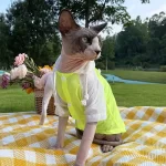 Summer Shirt for Sphynx-Sun Protection T-shirt with Hood