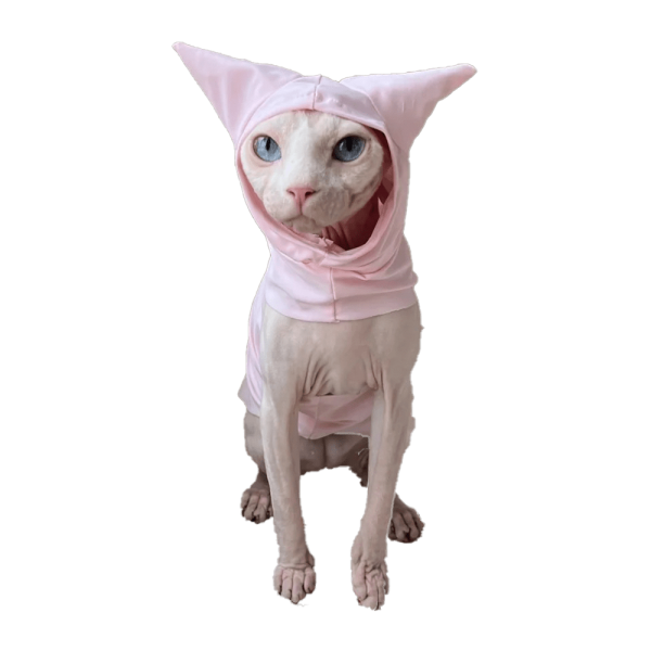 Summer Shirt for Sphynx T-shirt with Hood for Sphynx Cat