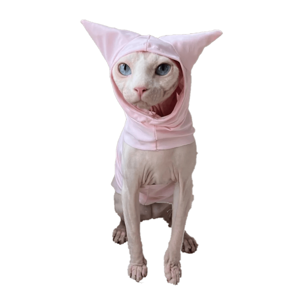 Sphynx Cat Clothes | 😻 Best Clothes for Sphynx Cats, Sphynx Clothing