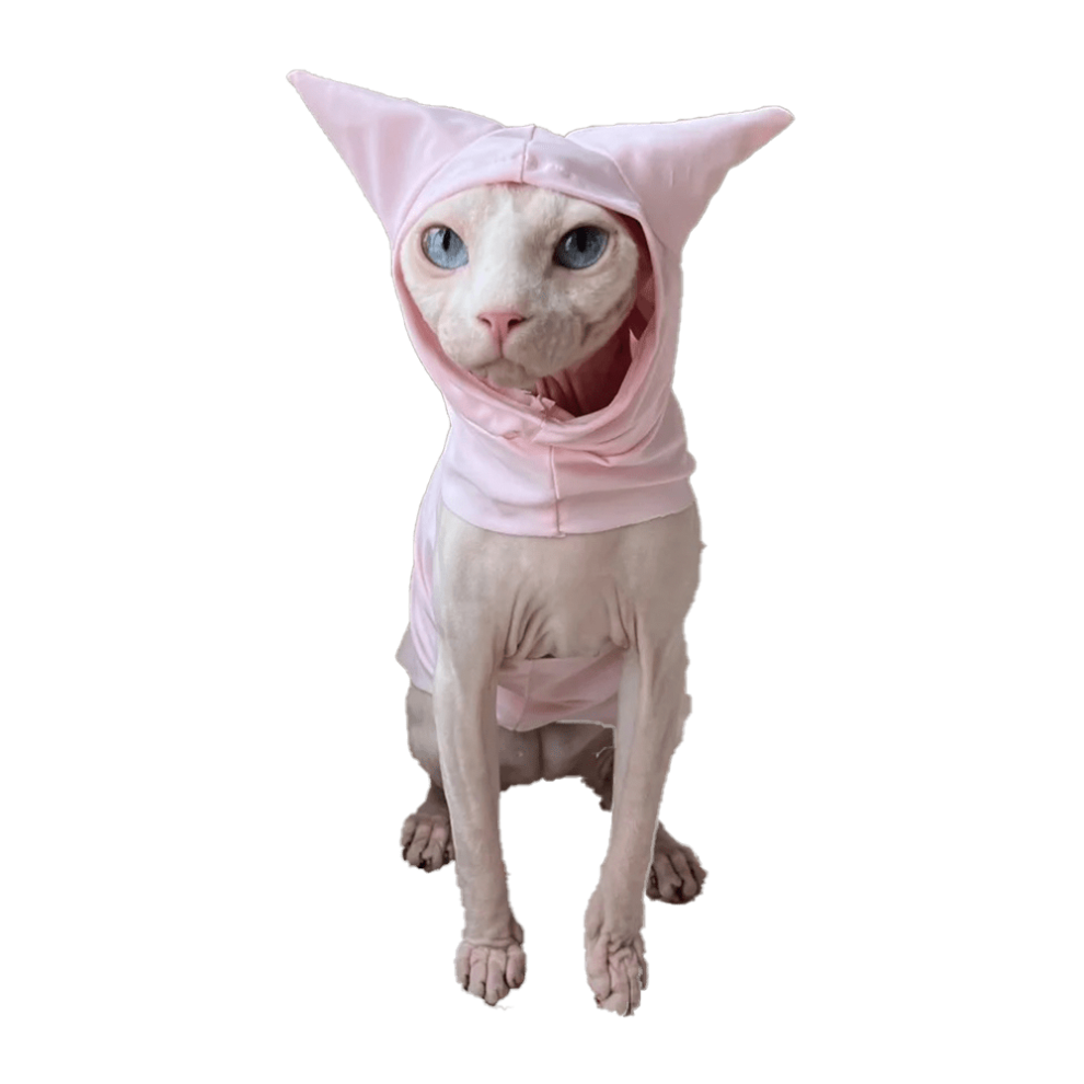 Sphynx Cat Clothes 😻 Best Clothes for Sphynx Cats, Sphynx Clothing