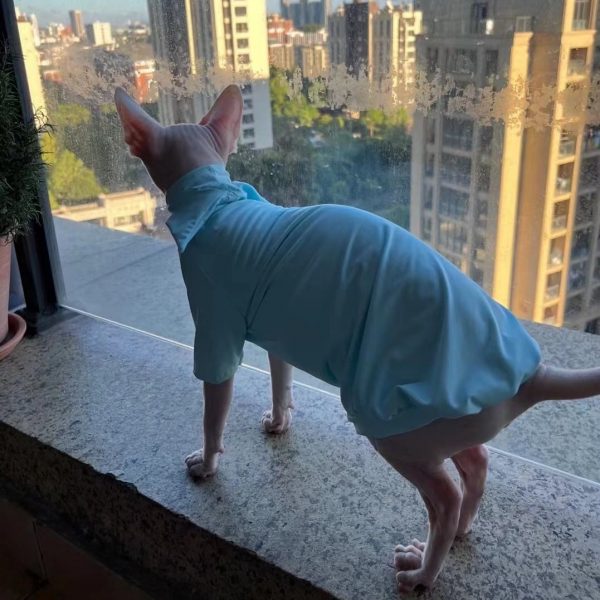 Summer Shirt for Sphynx | Sun Protection T-shirt with Hood for Sphynx Cat