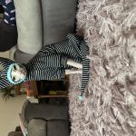 Cute Kitty Outfits-Black and White Stripes photo review