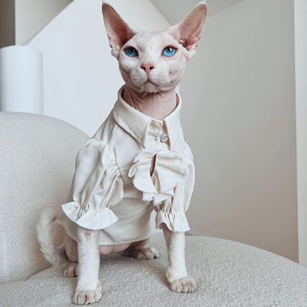 British Blouse for Sphynx Cat | Soft Blouse British Style for Sphynx