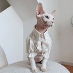 British Blouse for Sphynx Cat | Soft Blouse British Style for Sphynx