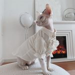 British Blouse for Sphynx Cat | Soft Blouse British Style for Sphynx