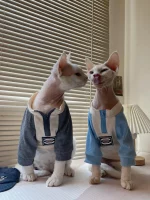 Chanel Zipper Shirt for Cat
