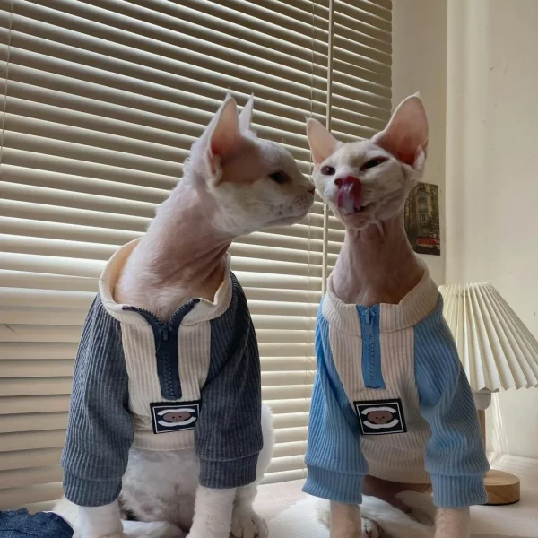 Chanel Zipper Shirt for Cat