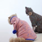 Four-leg Hoodies for Sphynx Cats 3 Colors of The Hoodies for Cats
