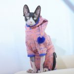 Four-leg Hoodies for Sphynx Cats 3 Colors of The Hoodies for Cats