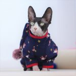 Four-leg Hoodies for Sphynx Cats 3 Colors of The Hoodies for Cats