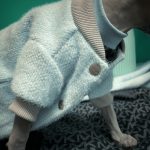 Mink Fleece Jacket for Sphynx