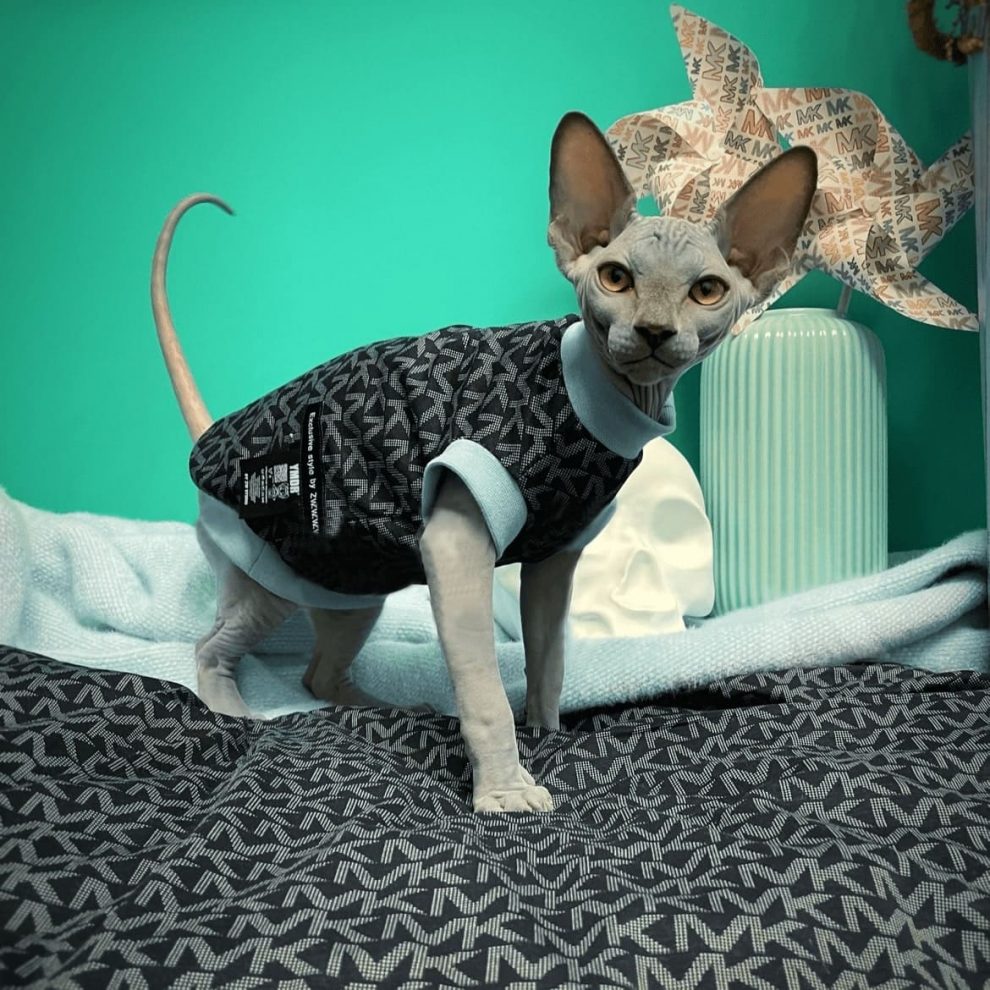 Mink Fleece Jacket for Sphynx Warm Cute Coat for Sphynx Cats