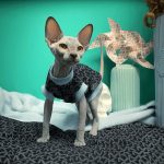 Mink Fleece Jacket for Sphynx