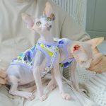 Purple Vest Sling for Sphynx Cat Cute Tanktop for Sphynx Cat in Summer