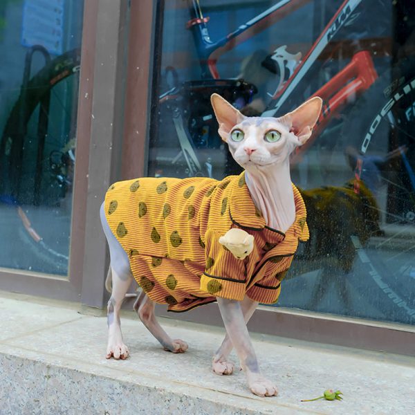 Turmeric Bear Blouse for Sphynx Cute Blouse Shirt for Sphynx Cats