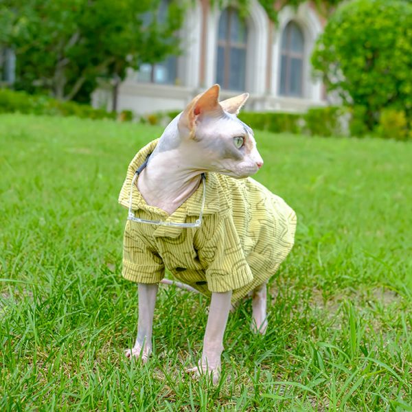 Yellow Letter Blouse for Sphynx Cute Sphynx Blouse Pajamas for Sphynx