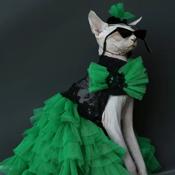 Formal Dress for Sphynx Cat