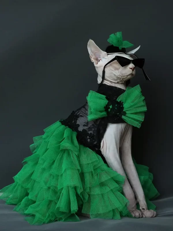 Formal Dress for Sphynx Cat