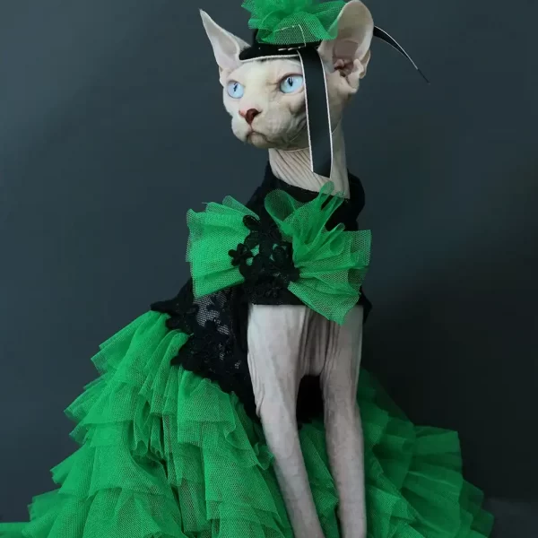 Vestido formal para gato Sphynx