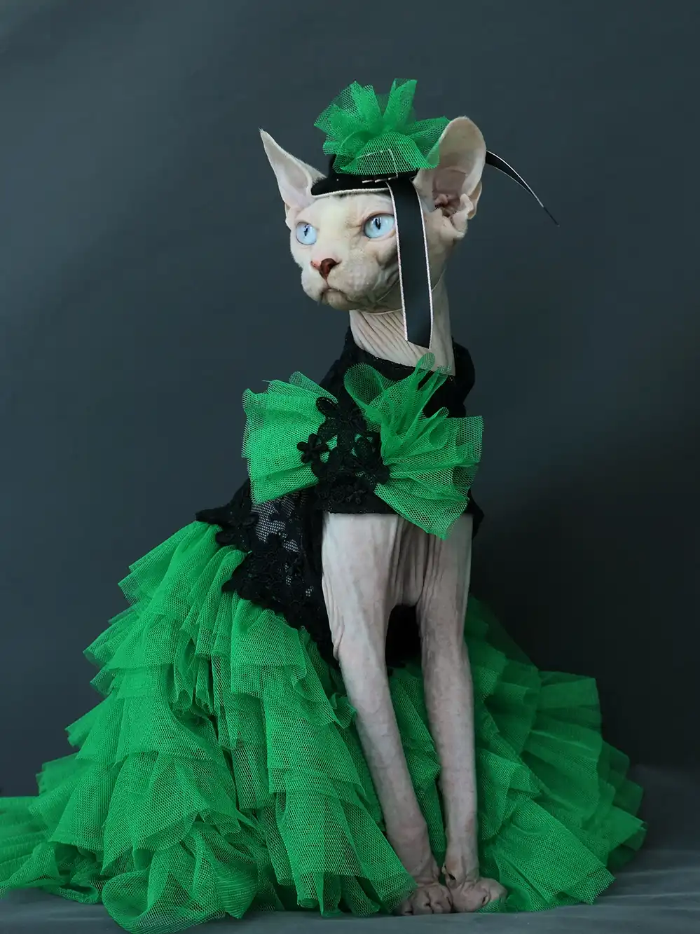 Dresses for Cats · YESWARMG
