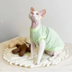 LACOSTE shirt with cap for Sphynx-green