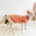 LACOSTE shirt with cap for Sphynx-orange
