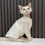Quilted Jacket for Sphynx-Double Layer Cotton