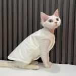 Quilted Jacket for Sphynx-Double Layer Cotton