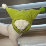Winter Cap for Sphynx Cat