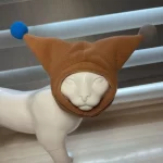 Winter Cap for Sphynx Cat