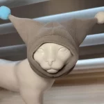 Winter Cap for Sphynx Cat