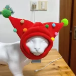 Winter Cap for Sphynx Cat
