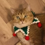 Christmas Collars for Cats Cute Knitted Cat Collar from YESWARMG