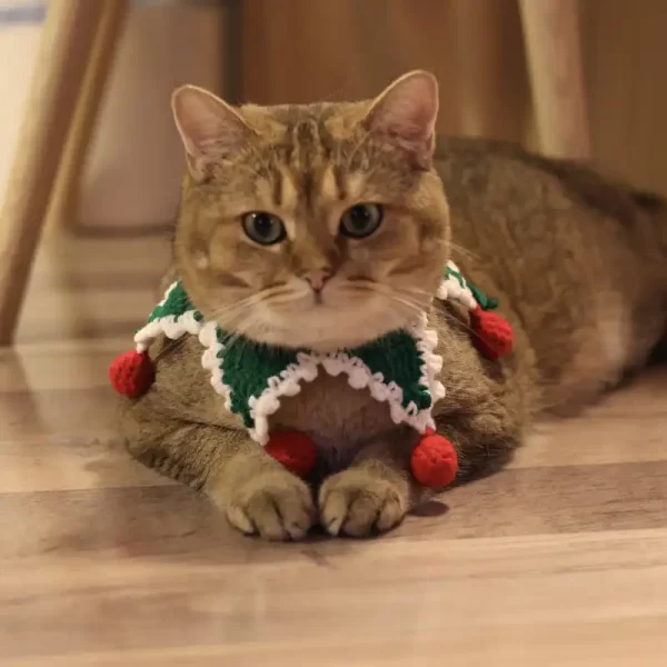 猫用クリスマスカラー かわいいニットキャットカラー YESWARMGより