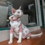 Down Jacket Vest for Sphynx Warm and Soft Vest for Cats