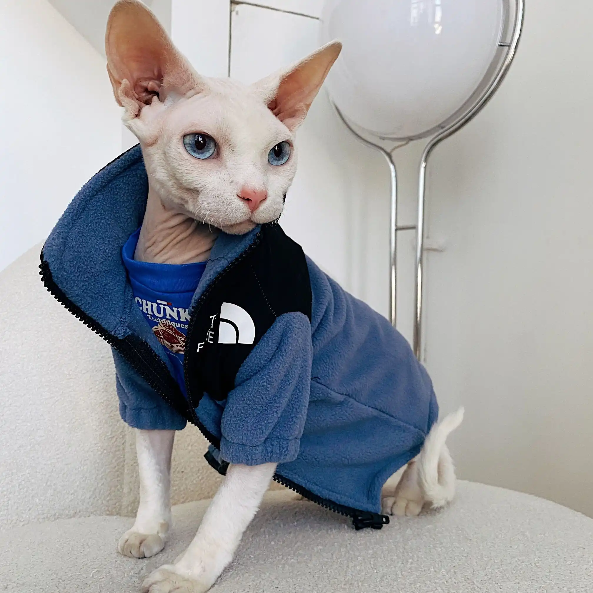 Chanel luxurious cat coat for Sphynx& Hairless Cat | Fashion winter jacket