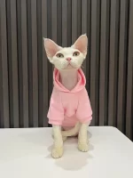 Smiley Face Hoodie for Sphynx