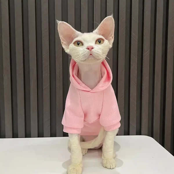 Smiley Face Hoodie for Sphynx