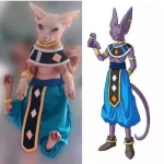 Beerus Costume for Sphynx