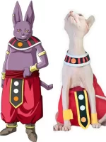 Beerus Costume for Sphynx