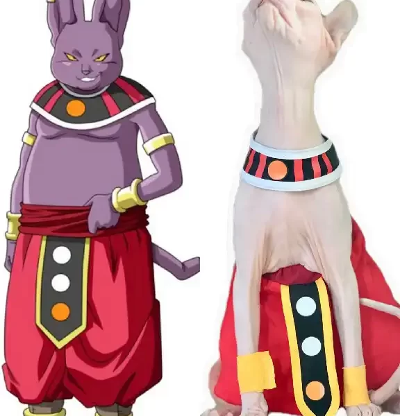 Beerus Costume for Sphynx