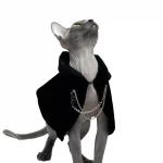 Dark Cape for Sphynx