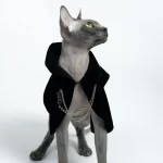 Dark Cape for Sphynx