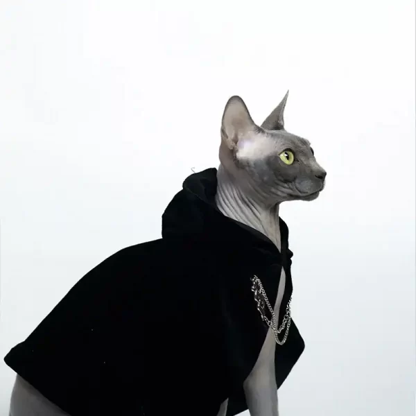 Dark Cape for Sphynx